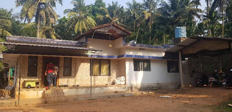 Residential Plot 20 Acre for Sale in Belthangady, Mangalore