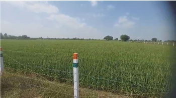  Agricultural Land for Sale in Talod, Sabarkantha