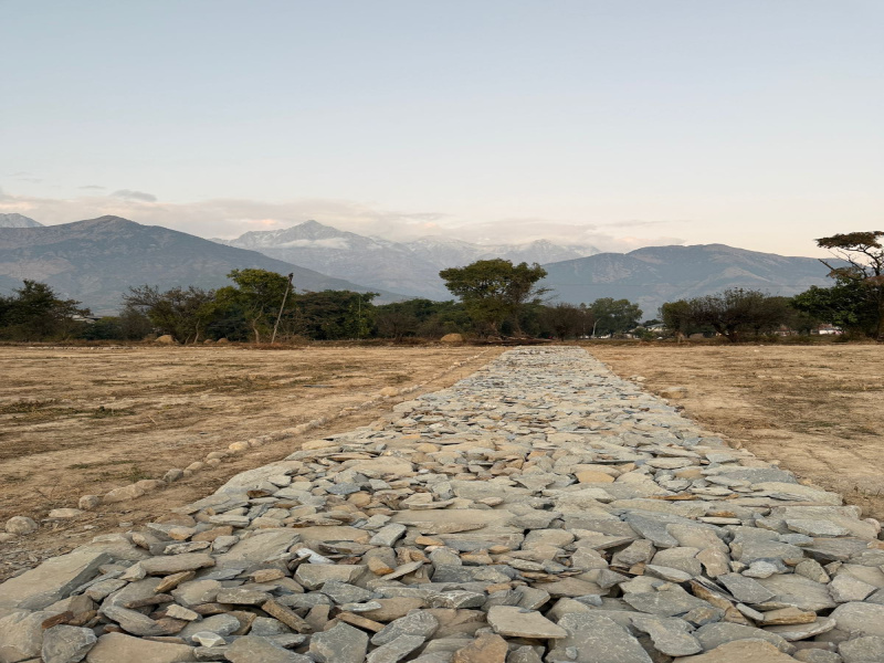  Residential Plot 18 Marla for Sale in Dari, Dharamsala