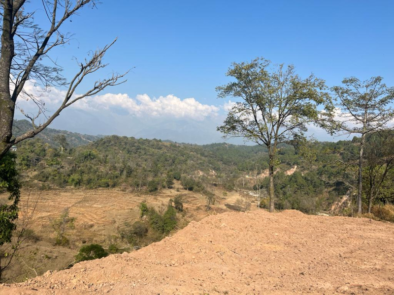  Residential Plot 10 Marla for Sale in Bhawarna, Kangra