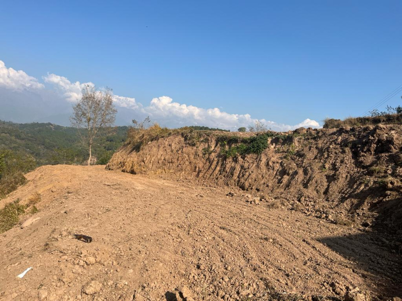  Residential Plot 10 Marla for Sale in Bhawarna, Kangra