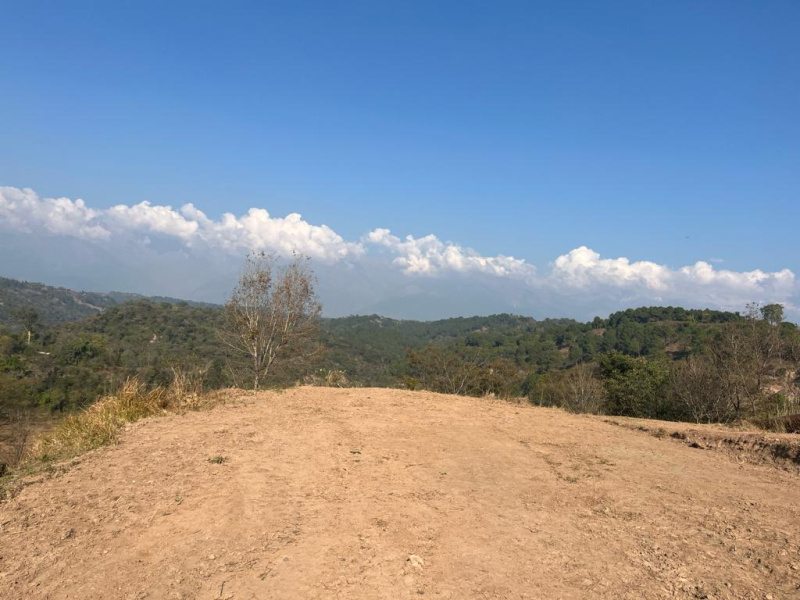  Residential Plot 10 Marla for Sale in Bhawarna, Kangra