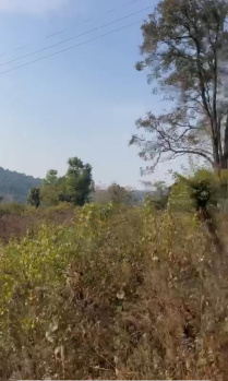  Residential Plot for Sale in Birta, Kangra