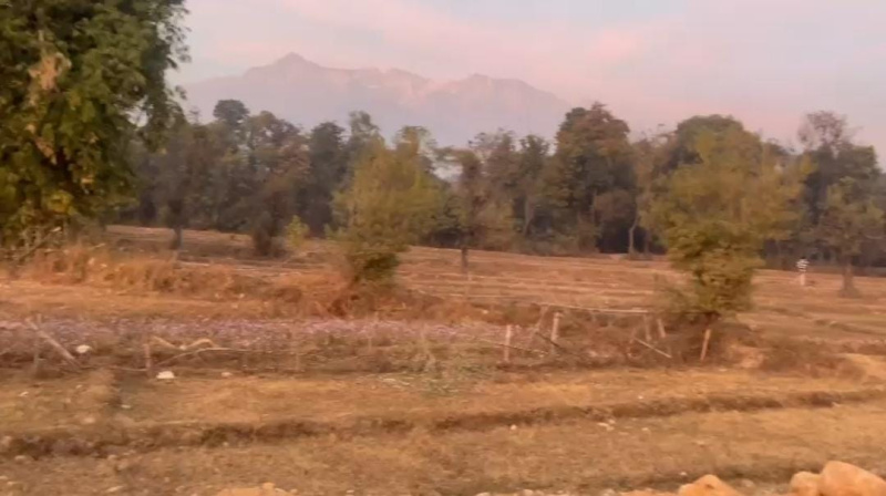  Residential Plot 84 Marla for Sale in Nagrota Bagwan, Kangra