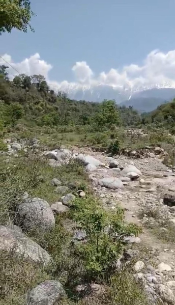  Residential Plot 80 Marla for Sale in Shahpur, Kangra