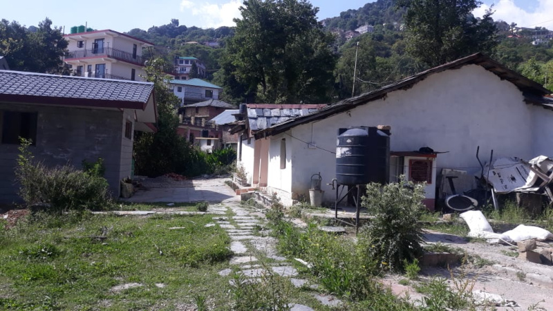  Residential Plot 14 Marla for Sale in Ram Nagar, Dharamshala