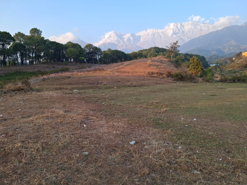  Residential Plot 100 Marla for Sale in Palampur Road, Dharamsala