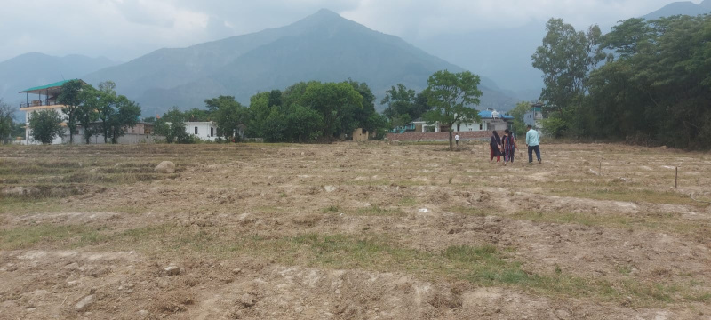  Residential Plot 15 Marla for Sale in Civil Lines, Dharamshala