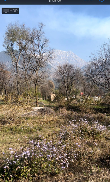  Residential Plot 40 Marla for Sale in Sidhbari, Dharamsala