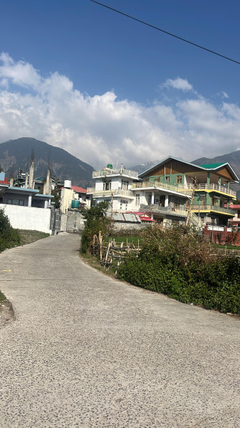  Residential Plot 20 Marla for Sale in Sidhpur, Dharamsala