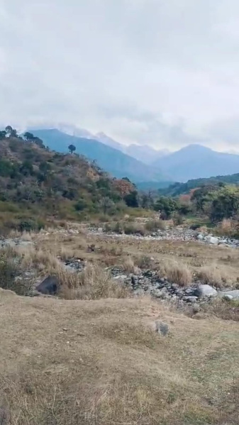  Residential Plot 540 Marla for Sale in Palampur, Kangra