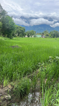  Residential Plot for Sale in Sukkad Road, Dharamsala