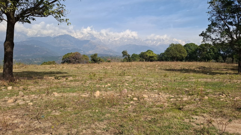  Residential Plot 3200 Marla for Sale in Yol Cantt, Dharamsala