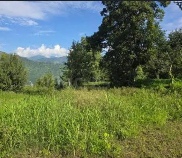  Residential Plot 15 Marla for Sale in Gharoh, Dharamsala