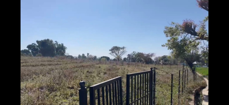  Residential Plot 320 Marla for Sale in Tang Narwana, Dharamshala