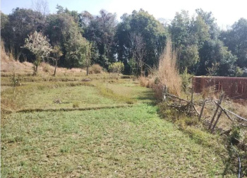  Residential Plot for Sale in Sidhbari, Dharamsala