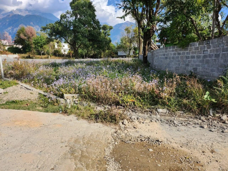  Residential Plot 20 Marla for Sale in Tapovan, Dharamsala