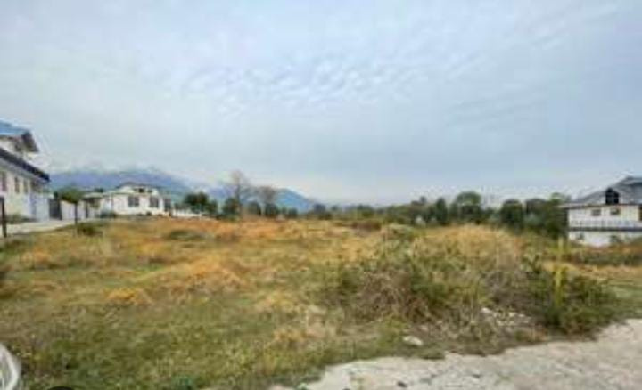  Residential Plot 63 Marla for Sale in Ghuggar, Palampur