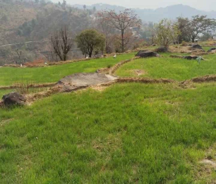  Residential Plot 15 Marla for Sale in Palampur Road, Dharamsala