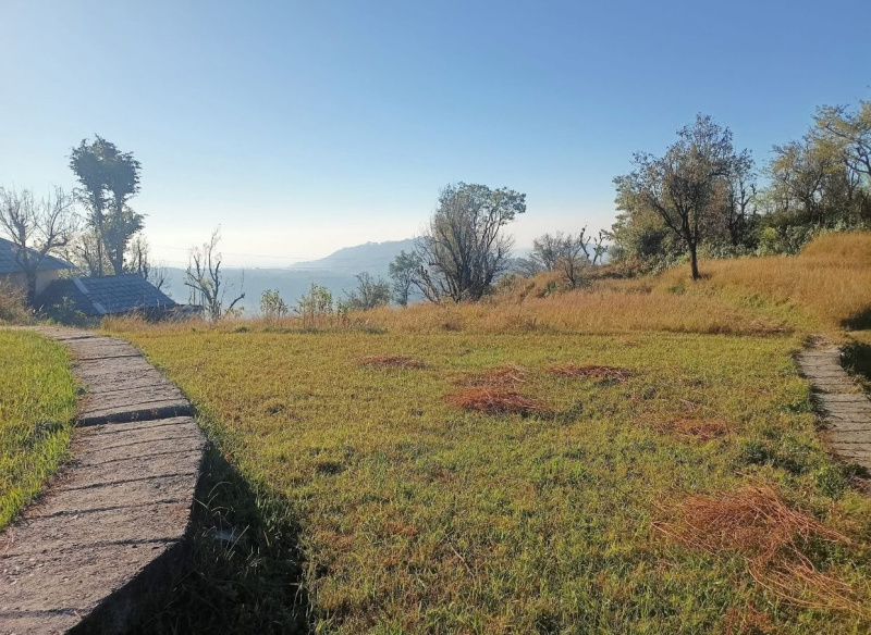  Residential Plot 18 Marla for Sale in Dari, Dharamsala