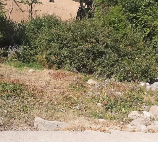  Residential Plot 11 Marla for Sale in Civil Lines, Dharamshala