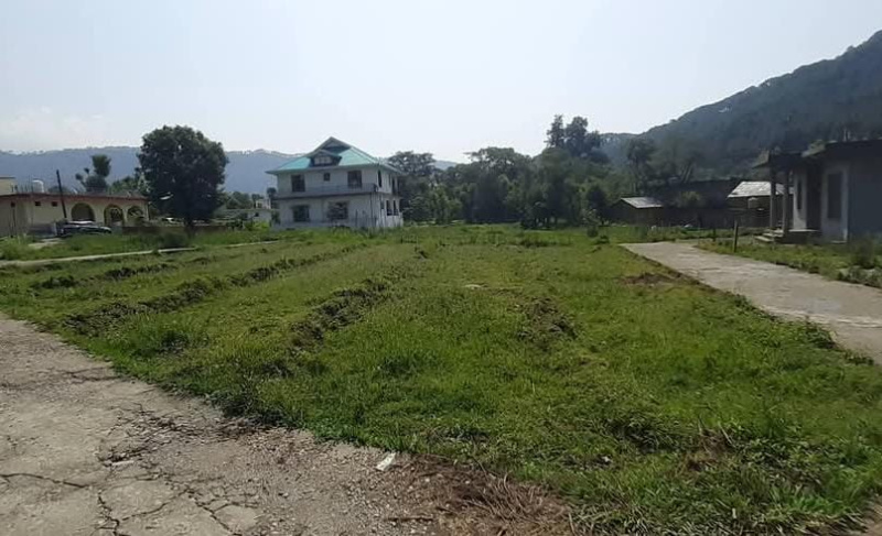  Residential Plot 18 Marla for Sale in Barol, Dharamshala