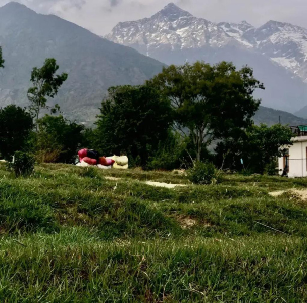  Residential Plot 20 Marla for Sale in Tang Narwana, Dharamshala