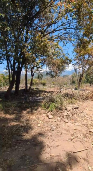  Residential Plot 200 Marla for Sale in Gharoh, Dharamsala