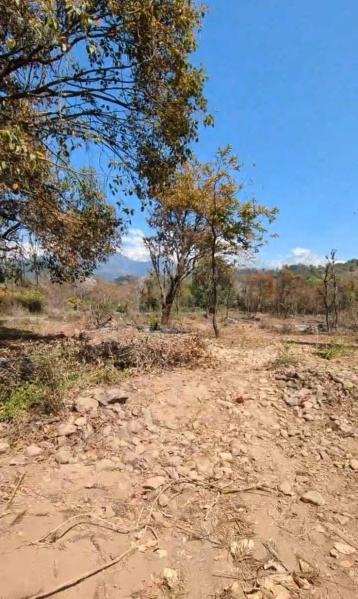  Residential Plot 200 Marla for Sale in Gharoh, Dharamsala