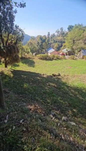  Residential Plot 60 Marla for Sale in Palampur Road, Dharamsala