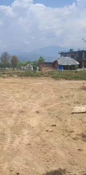  Residential Plot 300 Marla for Sale in Rait, Kangra