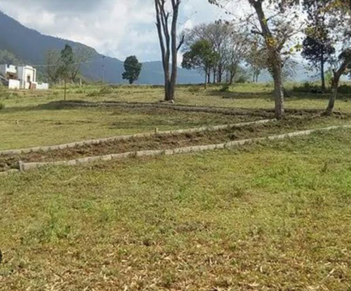  Residential Plot 24 Marla for Sale in Gharoh, Dharamsala