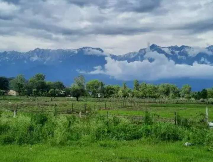  Residential Plot 19 Marla for Sale in Khanyara Road, Dharamsala