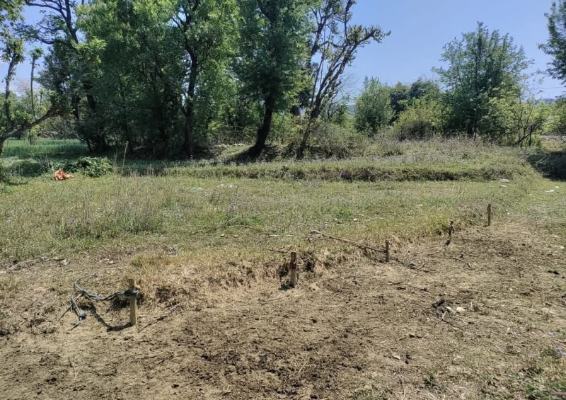  Residential Plot 20 Marla for Sale in Dari, Dharamsala