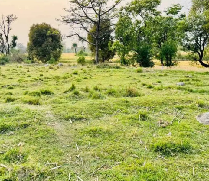  Residential Plot 40 Marla for Sale in Sidhbari, Dharamsala