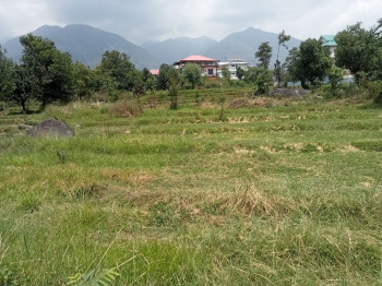  Residential Plot for Sale in Sidhpur, Dharamsala