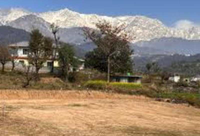  Residential Plot 10 Marla for Sale in HPCA Stadium, Dharamshala