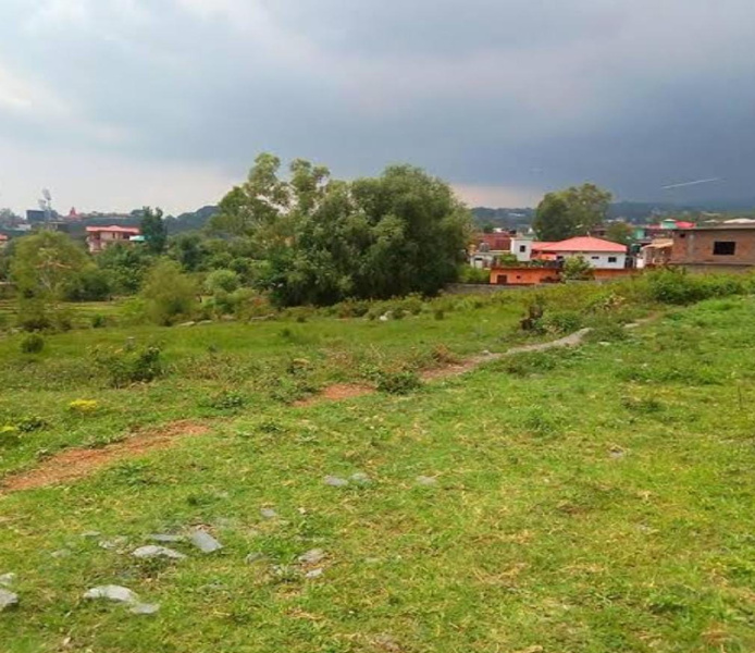  Residential Plot 24 Marla for Sale in Dari, Dharamsala