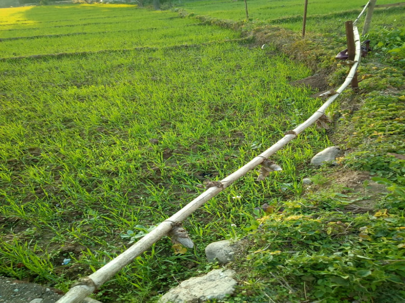  Residential Plot 25 Marla for Sale in Birta, Kangra