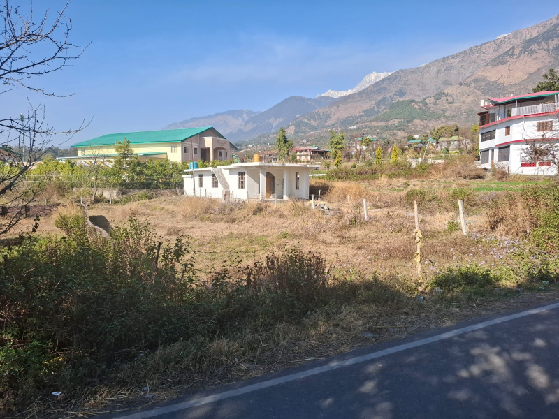 Residential Plot 10 Marla for Sale in Chilgadi, Dharamsala