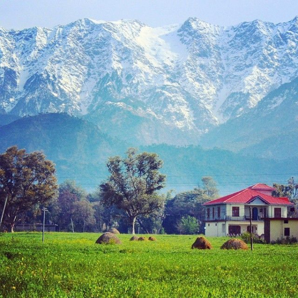  Residential Plot 15 Marla for Sale in Chilgari, Dharamsala