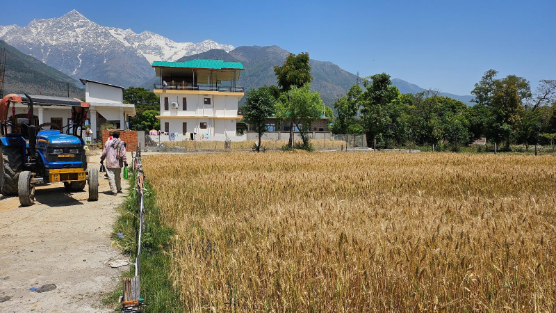  Residential Plot 15 Marla for Sale in Chilgadi, Dharamsala