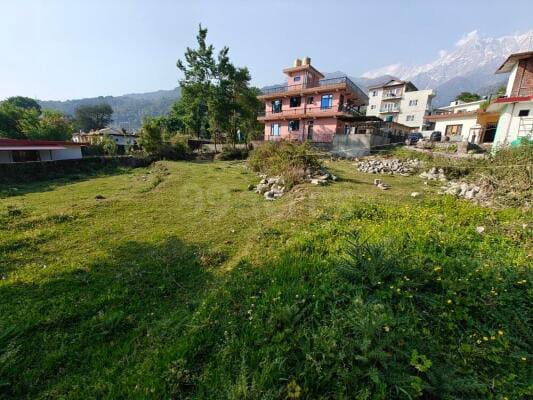  Residential Plot 14 Marla for Sale in Banuri, Palampur