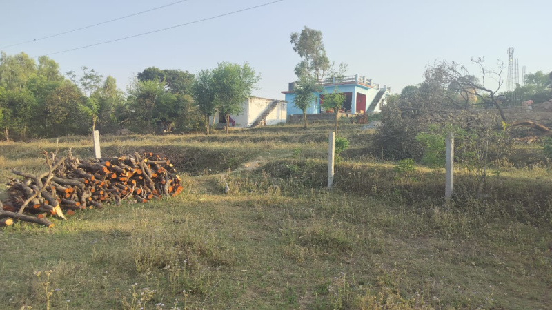  Residential Plot 26 Marla for Sale in Nurpur, Kangra