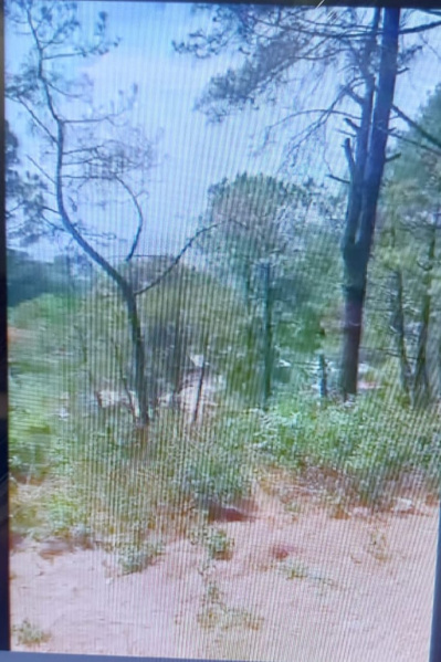  Residential Plot 34 Biswa for Sale in Fatehpur, Kangra