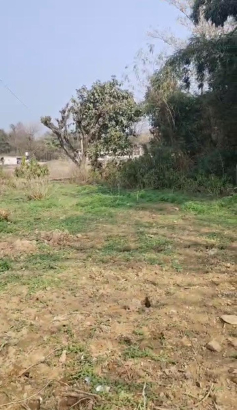  Residential Plot 12 Marla for Sale in Tapovan, Dharamsala