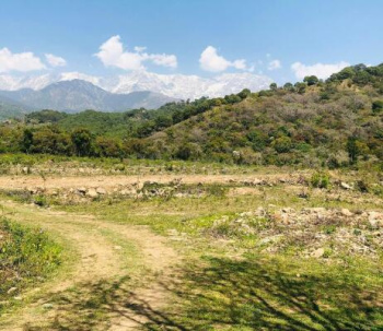  Residential Plot for Sale in Chohla, Dharamshala