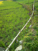  Residential Plot for Sale in Gharoh, Dharamsala