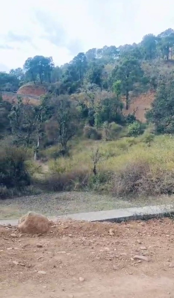  Residential Plot 30 Marla for Sale in Adarsh Colony, Kangra