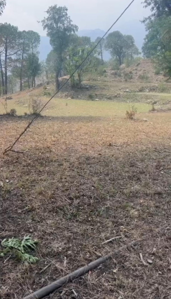  Residential Plot 25 Marla for Sale in Sukkad Road, Dharamsala